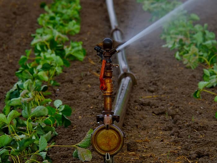 Aménagement hydro-agricole – Aspersion