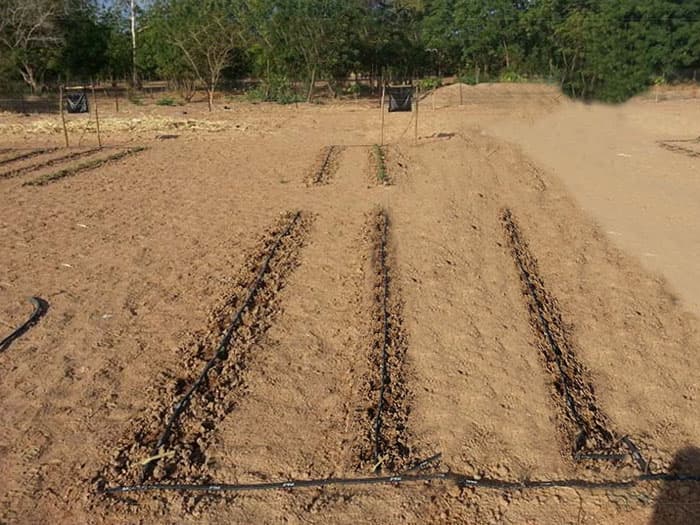Aménagement hydro-agricole – Micro-irrigation