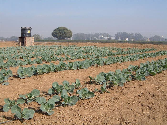Aménagement hydro-agricole – Micro-irrigation
