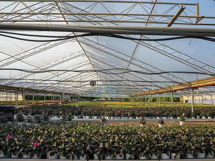 Aménagement hydro-agricole – Irrigation sous serre