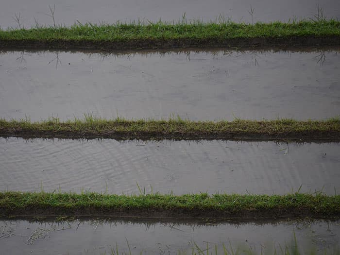 Aménagement hydro-agricole – Aménagement de bas-fonds