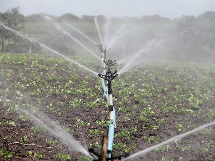 Aménagement hydro-agricole – Aspersion
