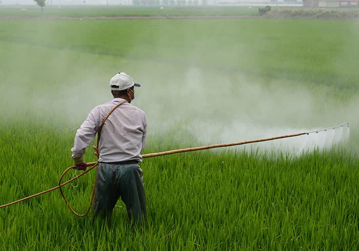 Aménagement hydro-agricole – Mise en valeur
