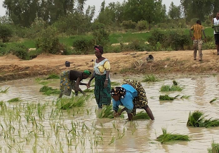 Aménagement hydro-agricole – Mise en valeur