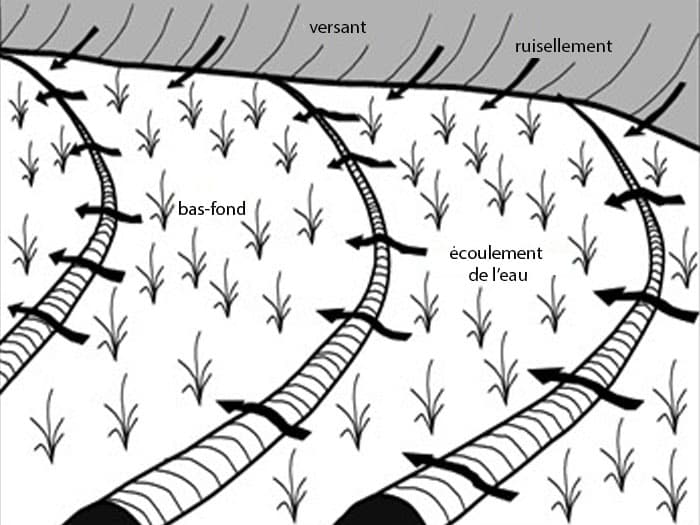 Aménagement hydro-agricole – Aménagement de bas-fonds
