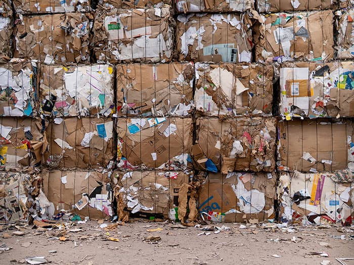 Assainissement – Gestion des déchets solides
